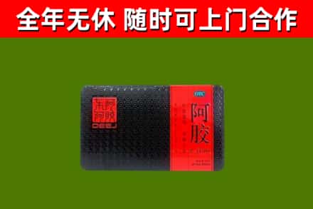 通江县回收阿胶