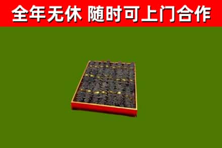 通江县回收海参